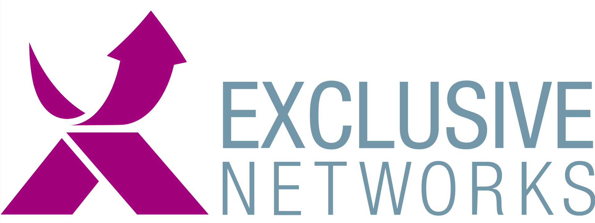 Exclusive_Networks_logo